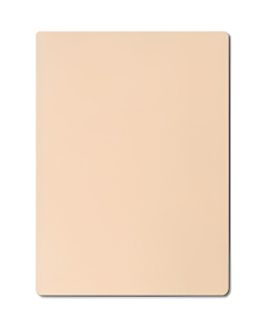 Çalışma Derisi Küçük Boy (A5) Dövme Pratik Çalışma Derisi 14.8 cm X 21 cm