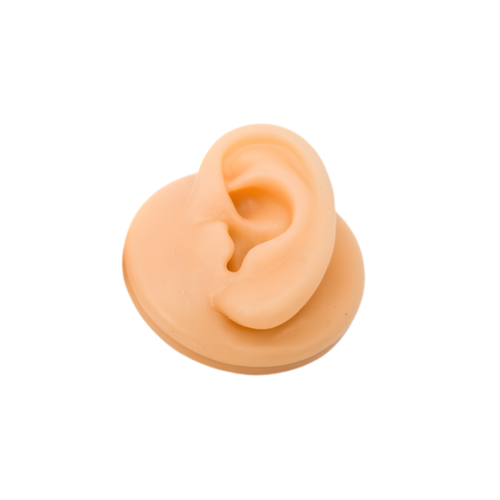 Silikon Piercing Standı Sol Kulak