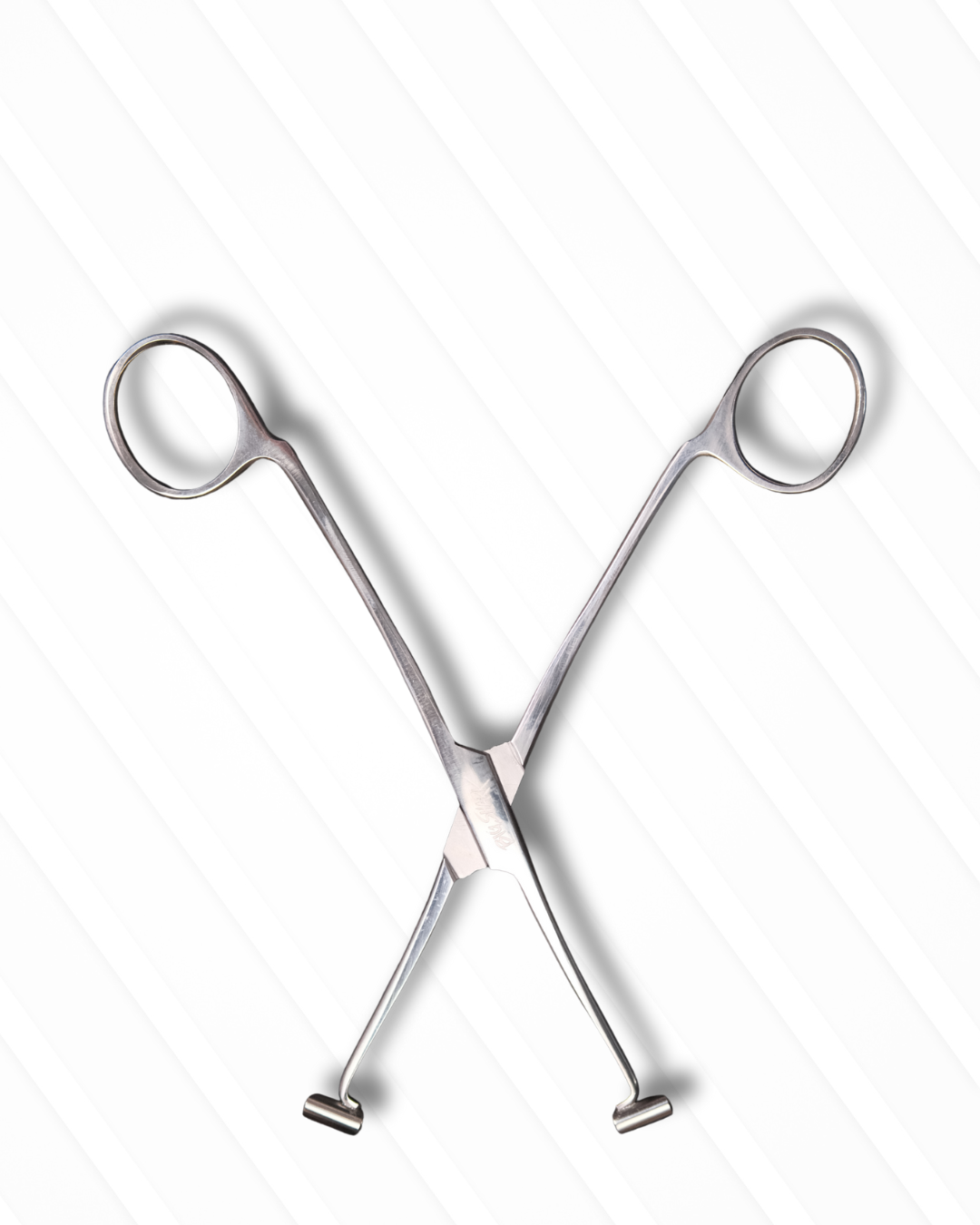 Big Shark Septum Pens Medium