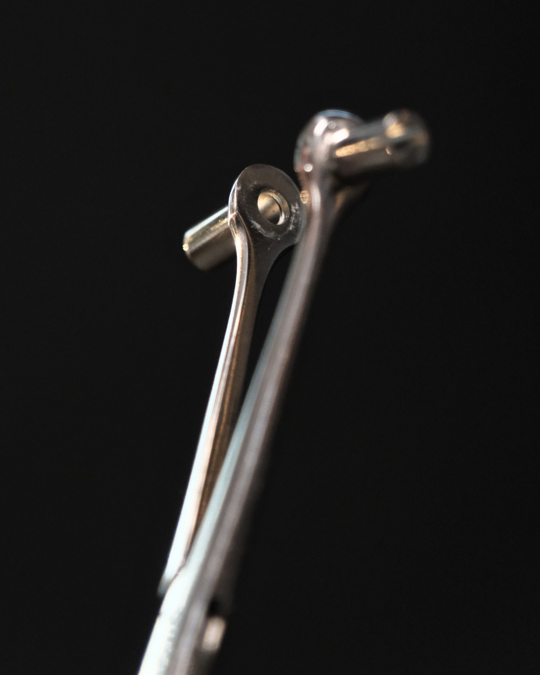 Big Shark Septum Pens Tüplü